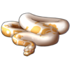 Ball Python: Albino Piebald